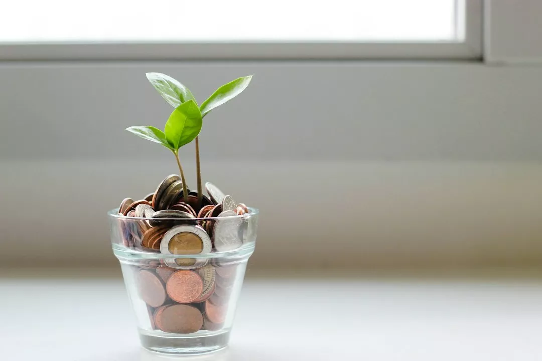 How Compound Interest Actually Builds Wealth