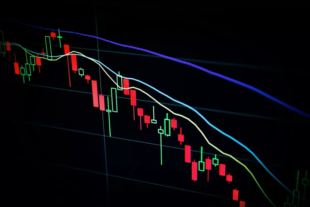 Index Funds 101: A Beginner’s Guide to Investing